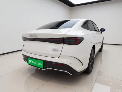 2024 BYD Seal 06 New Energy DM-i 80KM Prestige, фото 4, лот 10954664