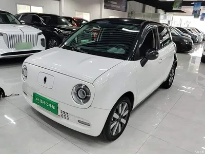 2021 Ora Black Cat 351km Standard Model, фото 1, лот 10764261