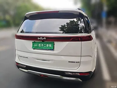 2021 Kia Carnival 2.0T Flagship Edition, фото 3, лот 10845822