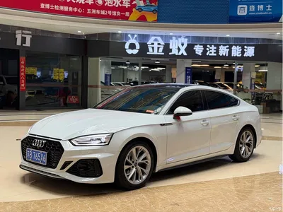 2017 Audi A5 (Import) Coupe 40 TFSI Style, фото 1, лот 11088248
