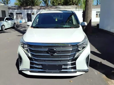 2021 GAC Trumpchi Trumpchi M8 Leading Show Series 390T Premium Edition, фото 2, лот 10391824