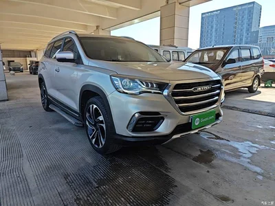 2019 Jetour X90 1.5T DCT Smart 6-seater China VI, фото 4, лот 11583674