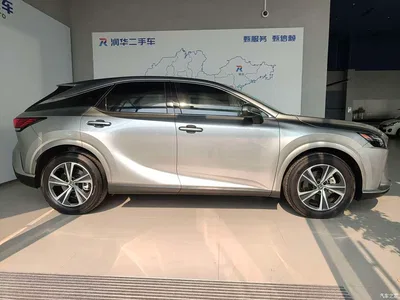 2025 Lexus RX 300 4WD Premium Edition, фото 3, лот 10906702