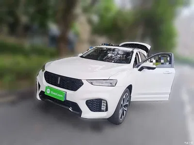 2017 WEY VV7 2.0T Super Luxury, фото 2, лот 10452385