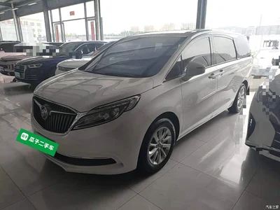 2018 Buick GL8 ES 28T Comfort Type China VI, фото 2, лот 10259033