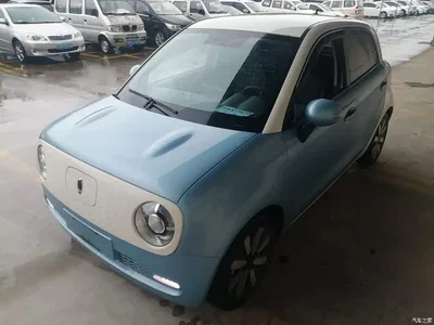 2021 Ora Black Cat 351km Standard Model, фото 2, лот 11195561