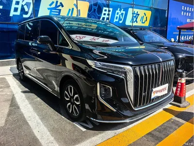 2023 Hongqi HQ9 2.0T Smart Connect Flag Smooth Edition, фото 2, лот 11585754