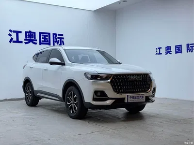 2023 Haval H6 National Trend Edition 1.5T Automatic Urban, фото 3, лот 10404972