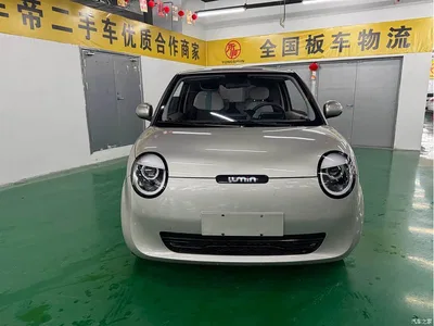 2023 Changan Qiyuan Changan Lumin Model 205km Fragrant Edition, фото 2, лот 10407901