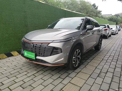 2022 Haval Shenshou 1.5T Smart Enjoyment Edition, фото 1, лот 11218374