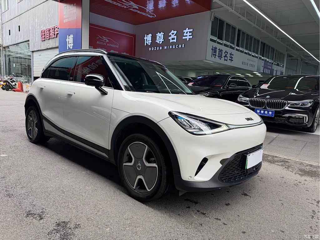 2022 smart Elf #1 Pro+ Edition, фото 3, лот 11215531