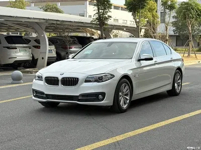 2014 BMW 5 Series 520Li Elegance, фото 1, лот 10444770