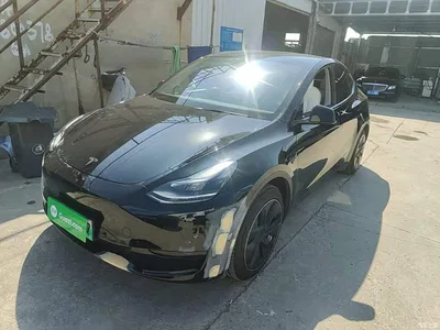 2022 Tesla Model Y Rear-Wheel Drive Version, фото 1, лот 10370254