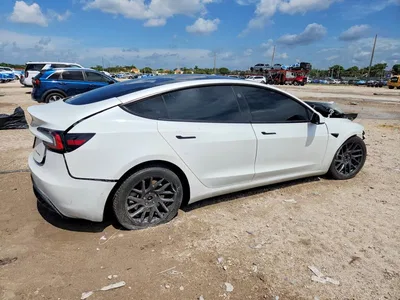 2025 TESLA MODEL 3, фото 3, лот 10852156