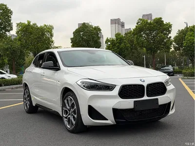 2022 BMW X2 sDrive25i M Sport Package, фото 1, лот 10475675