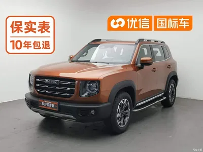 2021 Haval Big Dog Facelift 2.0T DCT AWD Howling Celestial Dog Edition, фото 1, лот 11226406