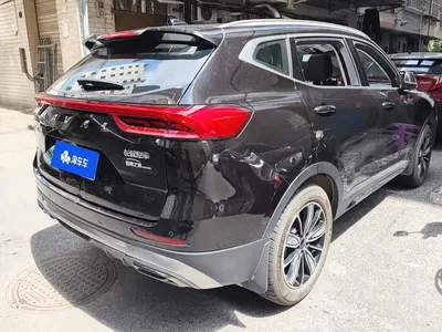 2023 Haval H6 National Trend Edition 1.5T Automatic Champion, фото 4, лот 11202797
