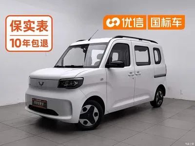 2025 Wuling Motors Wuling Zhiguang NEV Standard Version, фото 1, лот 11243398