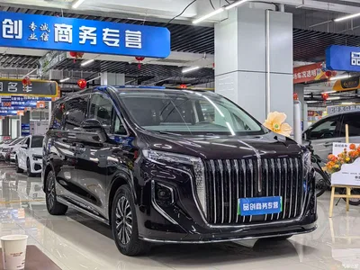 2024 Hongqi HQ9 PHEV Model 2.0T AWD Luxury Edition, фото 3, лот 10287806