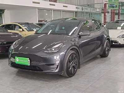 2024 Tesla Model Y Rear-Wheel Drive Version, фото 1, лот 11585656