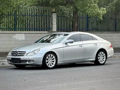 2009 Mercedes-Benz CLS 300, фото 1, лот 10298450