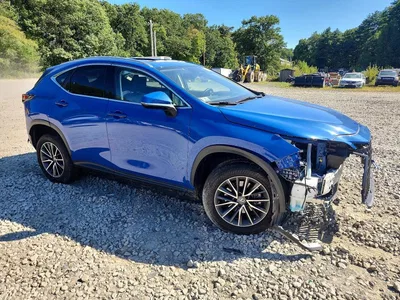 2023 LEXUS NX 350, фото 4, лот 10848757