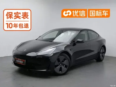 2021 Tesla Model 3 Standard Range Rear-Wheel Drive Upgrade 3D6, фото 1, лот 11548993