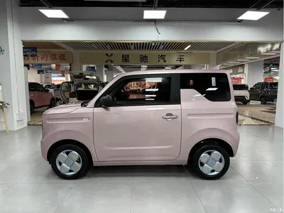 2024 Geely Galaxy Panda mini 200km Endurance Bear, фото 3, лот 10428769