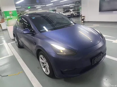2021 Tesla Model Y Model Long Range AWD, фото 4, лот 10374195