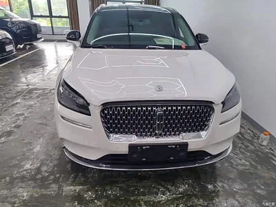 2022 Lincoln Adventurer Facelift 2.0T 2WD Zunxiang Edition, фото 3, лот 10357545