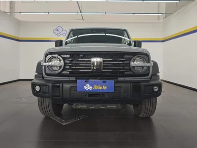 2024 Tank 300 Model 2.0T Challenger, фото 2, лот 10304724