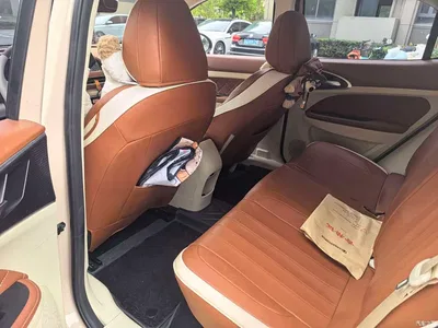 2023 Ora Good Cat 401km Standard Range Honor Edition (LFP), фото 3, лот 11097030