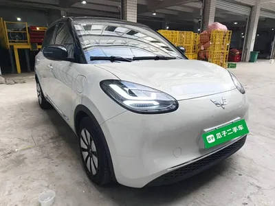 2025 Wuling Motors Wuling Bingo Model 333km Smart Connect, фото 4, лот 10453754