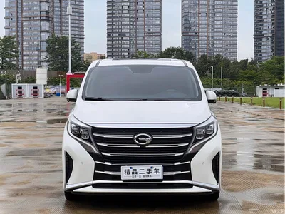 2021 GAC Trumpchi Trumpchi M8 Leading Show Series 390T Ultimate Edition, фото 2, лот 10415565