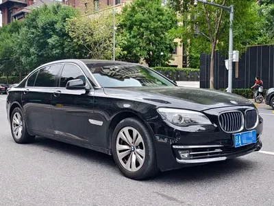 2009 BMW 7 Series 730Li Leading, фото 3, лот 10459378