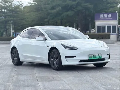 2019 Tesla Model 3 Standard Range Rear-Wheel Drive Upgrade, фото 3, лот 10346441
