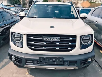 2021 Haval Big Dog 2.0T DCT 4WD Chinese Rural Dog Edition, фото 2, лот 10361675