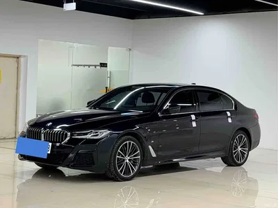 2021 BMW 5 Series 530Li Leading M Sport Package, фото 1, лот 10621784