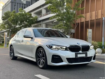 2020 BMW 3 Series 320Li M Sport Package, фото 3, лот 10457277