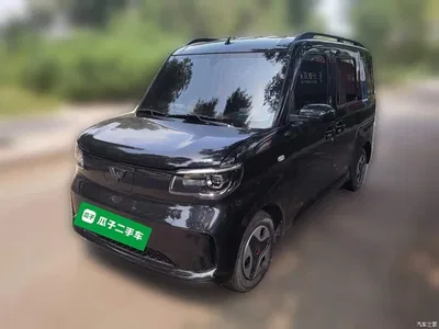 2025 Wuling Motors Wuling Zhiguang NEV Model 305km Base Version, фото 1, лот 10836000