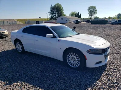 2019 DODGE CHARGER POLICE, фото 4, лот 10798714