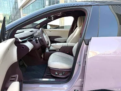 2025 ZEEKR X 5-Seater RWD Edition, фото 4, лот 10401096