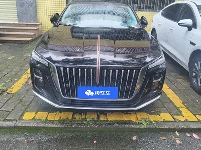 2024 Hongqi H5 1.5T DCT Smart Connect Flag Rhythm Edition, фото 2, лот 10288309