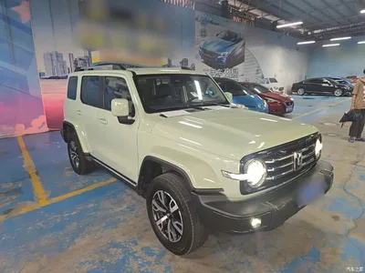 2021 Tank 300 Urban Edition 2.0T Stylish, фото 4, лот 10345457
