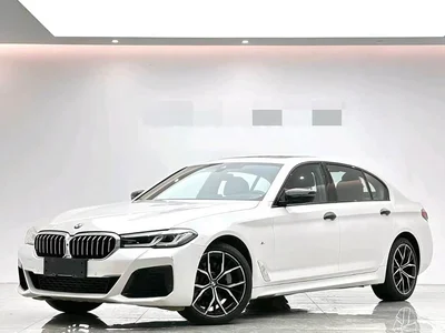 2021 BMW 5 Series 530Li Premium M Sport Package, фото 1, лот 11113876