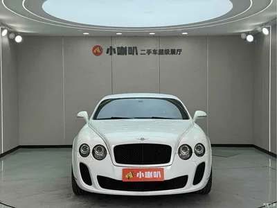 2010 Bentley Continental Gt, фото 2, лот 10244283