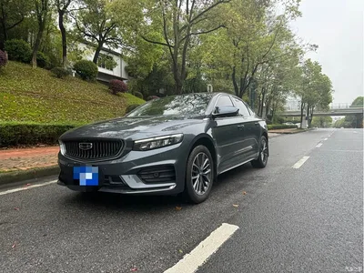 2021 Geely Xing Rui 2.0TD Luxury, фото 1, лот 10359308