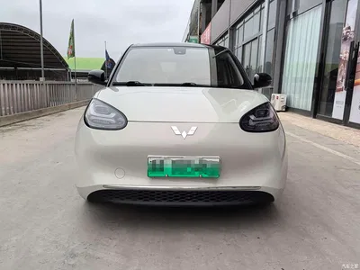 2023 Wuling Motors Wuling Bingo 333km Smart Connectivity Edition, фото 2, лот 10367196