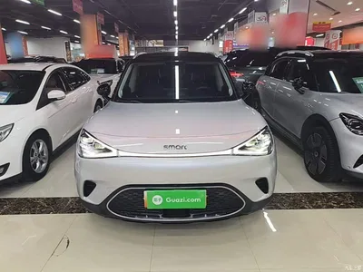 2022 smart Elf #1 Premium Edition, фото 3, лот 10343658
