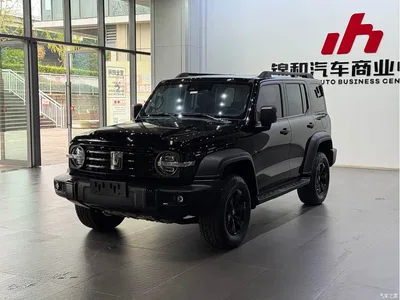 2021 Tank 300 Off-road Version 2.0T Conqueror, фото 1, лот 10344991